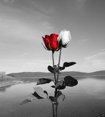 ""Wellcome""