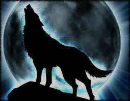 Quel Genre De Loup Es Tu ?