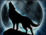 Quel Genre De Loup Es Tu ?