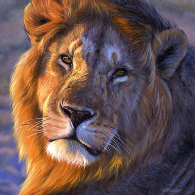 How Much Do U Know About The Jungle And Animals