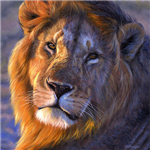 How Much Do U Know About The Jungle And Animals