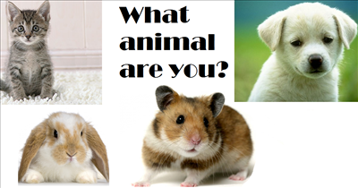 What Sort Of Animal Are You?
