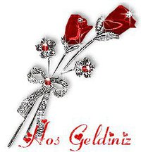 Hoşgeldiniz