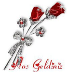 Hoşgeldiniz