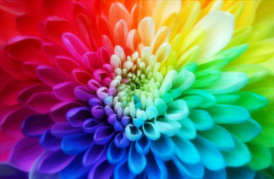 What Color Suits You The Best?