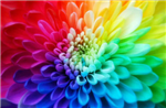 What Color Suits You The Best?