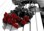 Liebt Er/Sie Dich????