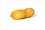 Virtual Nut Tap