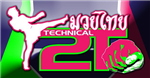 2 Technical Fighters