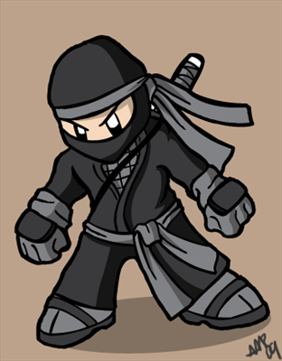 Are You A Good Ninja?