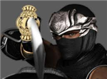 Are You Truly A Ninja??