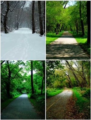 What Season Are You?
