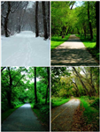 What Season Are You?