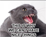 Inside Jokes.....